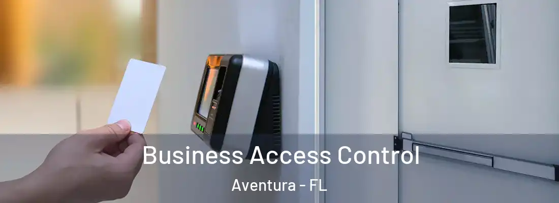 Business Access Control Aventura - FL