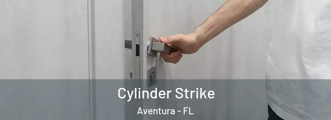 Cylinder Strike Aventura - FL