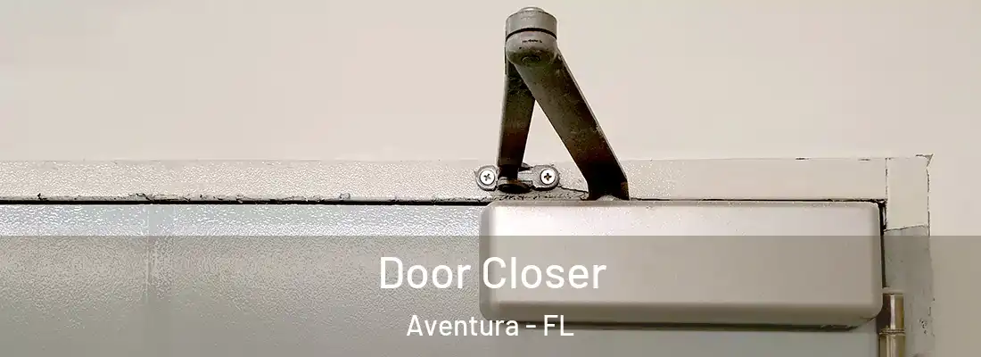 Door Closer Aventura - FL