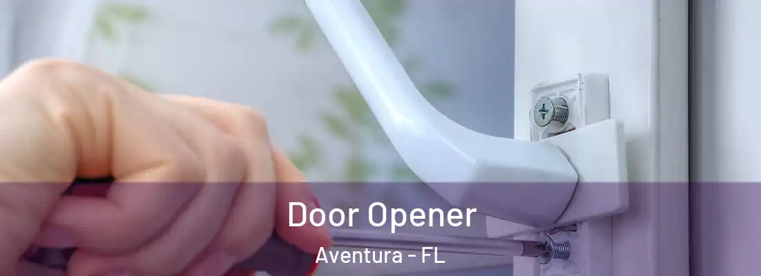 Door Opener Aventura - FL