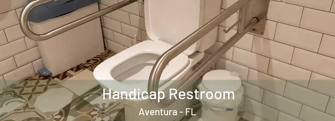 Handicap Restroom Aventura - FL